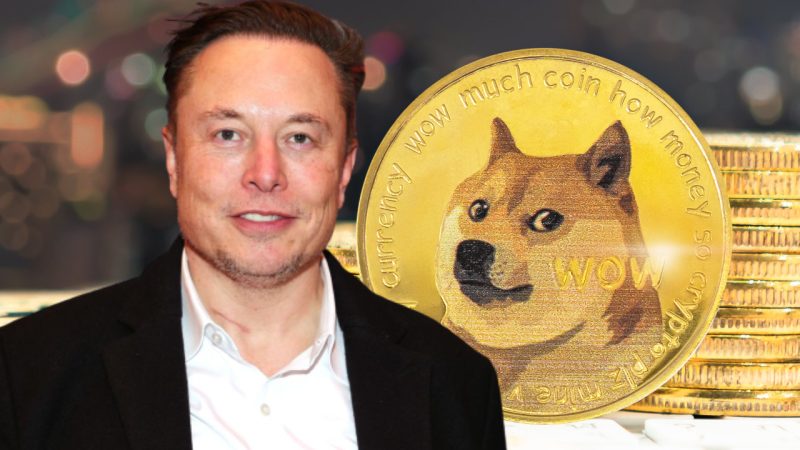 Elon Musk dogecoin