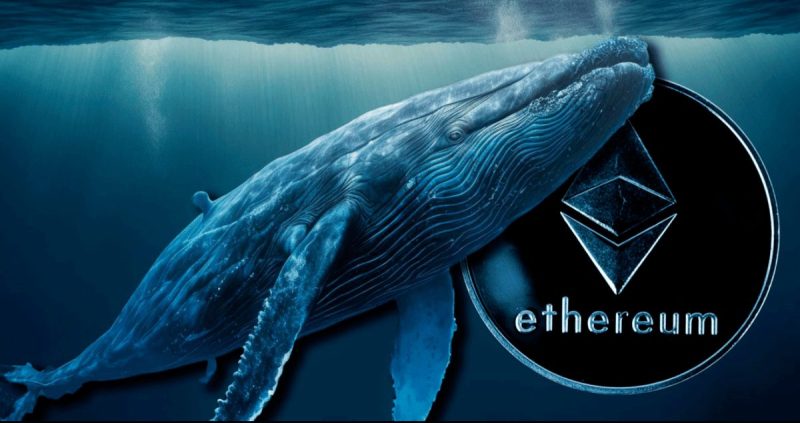 eth whale